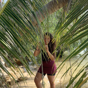 Bobbie Palm